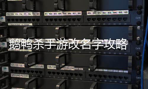 名字攻略改名鹅鸭 鹅游改鸭杀杀手手游怎么字